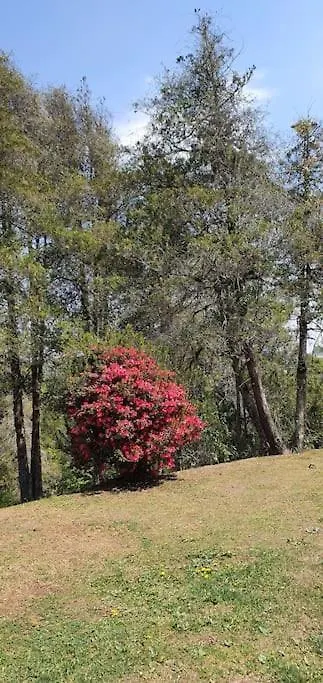 Chale Aconchegante Na Vila Inglesa Campos do Jordao 0*,  Brazil